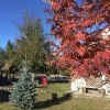 Отель Rose Cottage Bed & Breakfast, фото 27