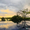 Отель Kalapuwa Resort, фото 11