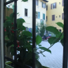 Отель B&B Il Delfino a Bologna, фото 1