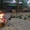 Отель Foret De Vill - Hostel, фото 8