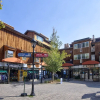 Отель Lionshead Center, фото 1
