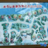 Отель Oriental Jinsha Villa Hotel, фото 5