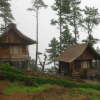 Отель Pine Wood Villa Resort, фото 9