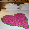 Отель Siesta Inn at Maafushi, фото 4