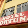 Отель Fortuna, фото 4