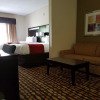 Отель Comfort Suites Northside Hospital Gwinnett, фото 49