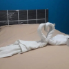 Отель AYPA Hostal, фото 5