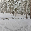 Отель Tahoe Donner Mountain Cabin: Surrounded by Forest!, фото 24