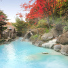 Отель Adachiya Ryokan, фото 16