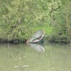 Отель Quaint Chalet in Hannut With a Pond, фото 9