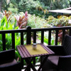 Отель Daintree Village Hideaway, фото 13