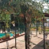 Отель Quaint Holiday Home in Sevilla With Private Swimming Pool, фото 8