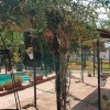 Отель Quaint Holiday Home in Sevilla With Private Swimming Pool, фото 15