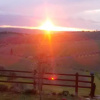 Отель Immersi nella campagna Toscana, фото 3
