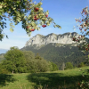 Отель Chalet Le Titlis, фото 11