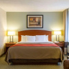 Отель Comfort Inn, фото 26