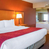 Отель Comfort Suites Auburn Hills-Detroit, фото 45