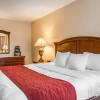 Отель Comfort Inn & Suites East Greenbush - Albany, фото 6