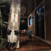 Отель Macaco Surf House - Hostel, фото 48