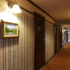 Отель Heidihof Hotel, фото 17