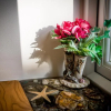 Отель Wesley House Holidays - Choice of 2 Quirky Cottages in 4 private acres, фото 16