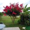 Отель Villa With 3 Bedrooms in Lavergne, With Wonderful Lake View, Private P, фото 30