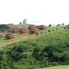 Отель Obudu Mountain Resort, фото 8