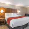 Отель Comfort Inn Grove City - Columbus South, фото 42