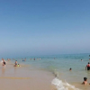 Отель Beach Falésia Alfamar, фото 14
