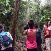 Отель Tambopata Trek, фото 12