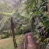 Отель Ranchitos Del Quetzal - Parque Ecológico Gucumatz, фото 9