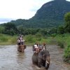 Отель Mahout Resort, фото 19