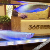 Отель 河口365快捷酒店, фото 6