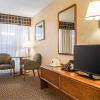 Отель Holiday Inn Springfield-South, фото 18