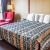 Отель Econo Lodge, фото 5