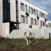 Отель Fosshotel Myvatn, фото 26