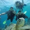 Отель ND Divers, фото 31