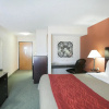 Отель Comfort Inn (Cedar Park), фото 3