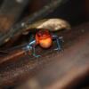 Отель Sloth House, фото 12