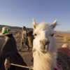 Отель Noi Casa Atacama, фото 17