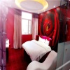 Отель Shengfeng Forrest Holiday Hotel, фото 15