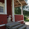 Отель Northern Star Wilderness Ranch & Biker Lodge, фото 6