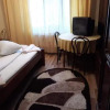 Отель Pensiunea Denisa, фото 3