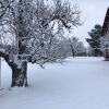 Отель Rondaval/farmhouse breakfast, фото 1