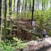 Отель Ferienwohnung am Teutoburger Wald 1 в Эрлингхаузен