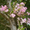 Отель Fazenda Ararita, фото 44