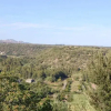 Отель B&B Belvedere, фото 4