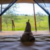 Отель Mgunga Serengeti Luxury Camp, фото 10