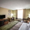Отель Comfort Inn Morris I-80, фото 6