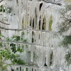 Отель Cabana Pequeno Bosque Com Vista - o Rio, à 15 km da cidade, фото 50